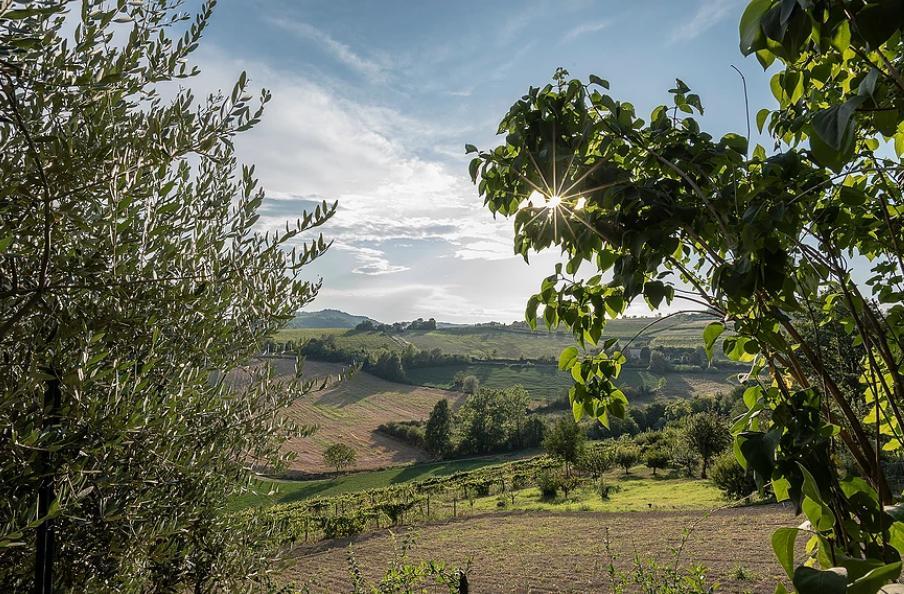 B&B Carletto Cella Monte Εξωτερικό φωτογραφία