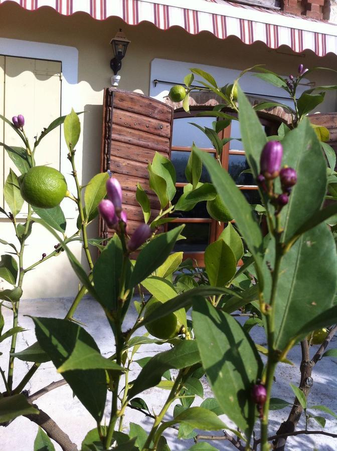 B&B Carletto Cella Monte Εξωτερικό φωτογραφία